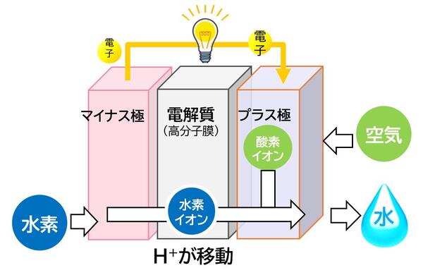 FCV-illustration.JPG