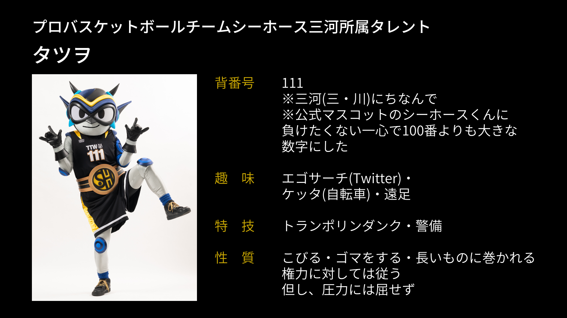 タツヲプロフィール.png